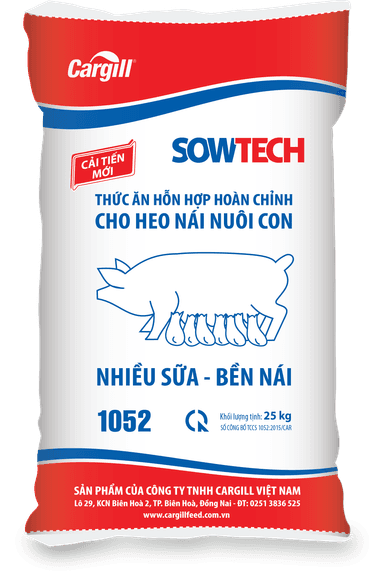 Thức ăn hỗn hợp hoàn chỉnh cho heo nái nuôi con