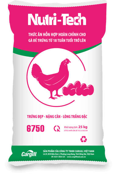 Thức ăn hỗn hợp hoàn chỉnh gà đẻ trứng từ 18 tuần trở lên