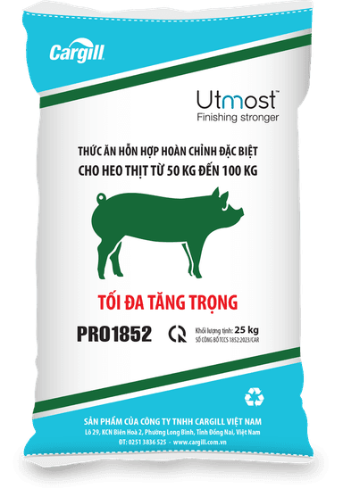 Thức ăn hỗn hợp hoàn chỉnh đặc biệt cho heo thịt từ 50kg đến 100kg