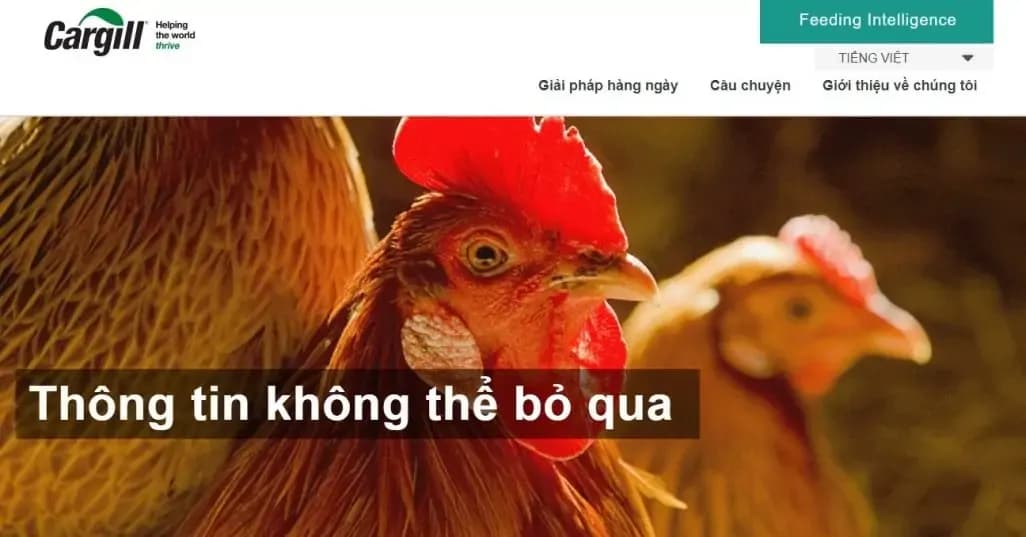  Feeding Intelligence (Tri thức Dinh dưỡng Vật nuôi)